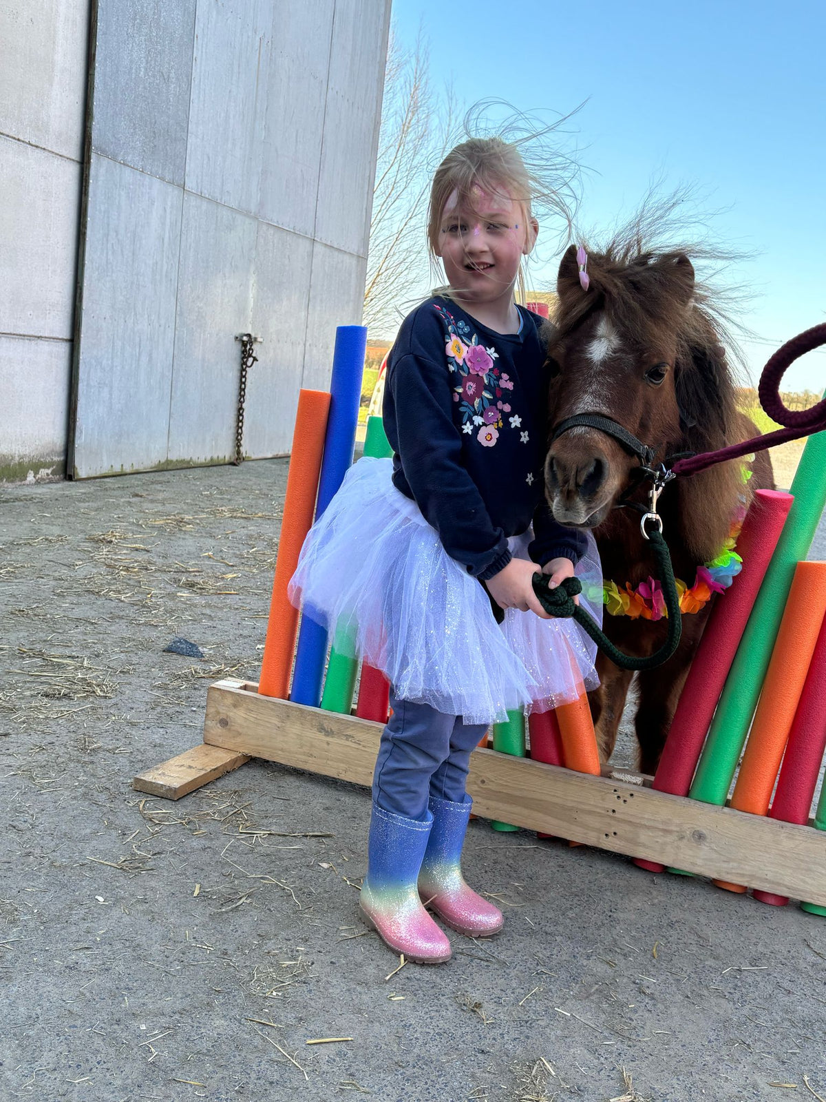 Mini Paardjes kamp Herfstvakantie