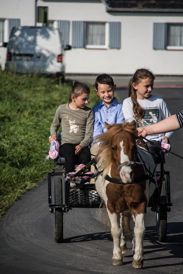 Herfstvakantie: 29/10/2025