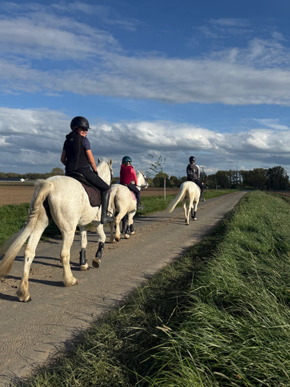 zomervakantie week 24 augustus - 28 augstus